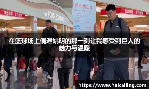 在篮球场上偶遇姚明的那一刻让我感受到巨人的魅力与温暖