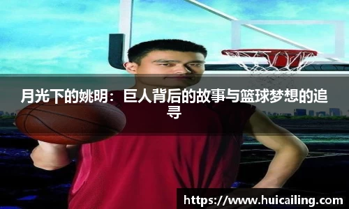 月光下的姚明：巨人背后的故事与篮球梦想的追寻